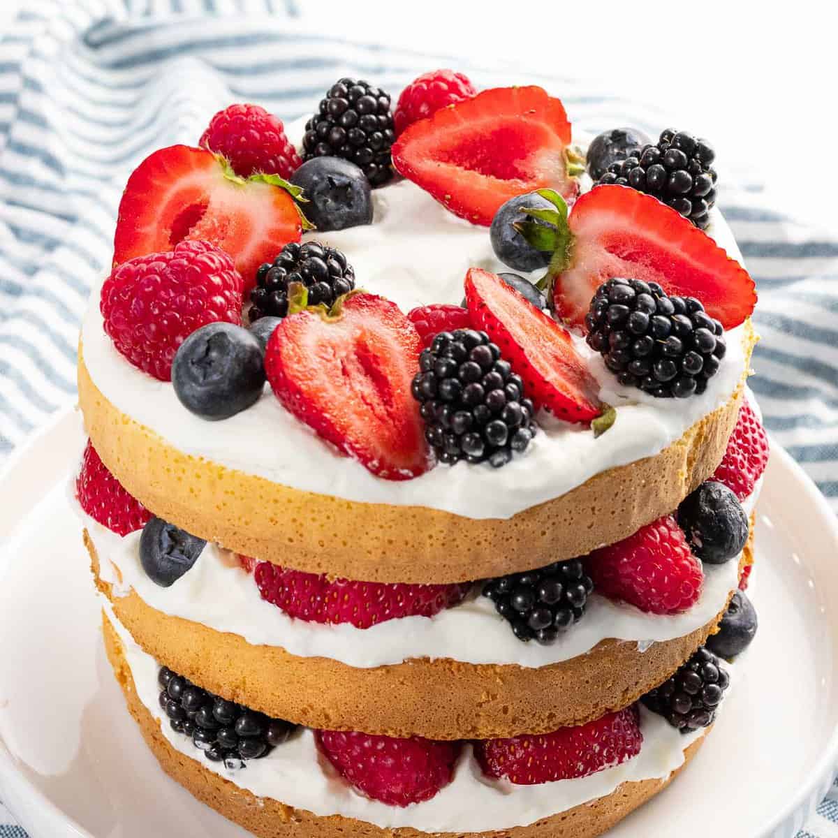 berry-cake-5